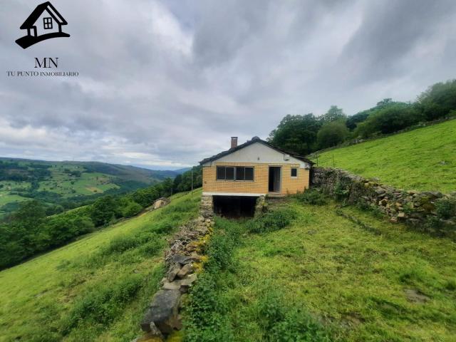CONJUNTO PASIEGO ÚNICO: VIVIENDA + CABAÑA PARA REFORMAR EN FINCA DE 1,1 HECTÁREAS