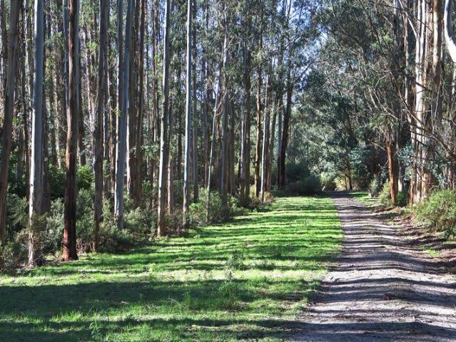 Connect with Nature 30 Acres on the Agnes River