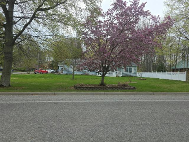 Connie Ave