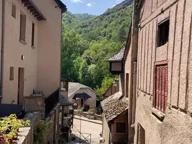 Conques en Rouergue 12320 Achat / Vente maison 9 pièces t9 jardin terrasse