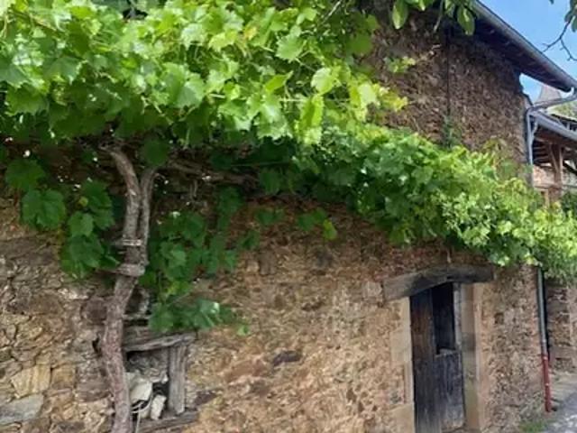 Conques en Rouergue 12320 Achat / Vente maison 2 pièces t2 terrasse