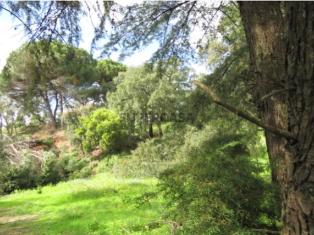 Construa uma Moradia Única | Lote Exclusivo 2750 m² com 900 m² de Construção Palmela