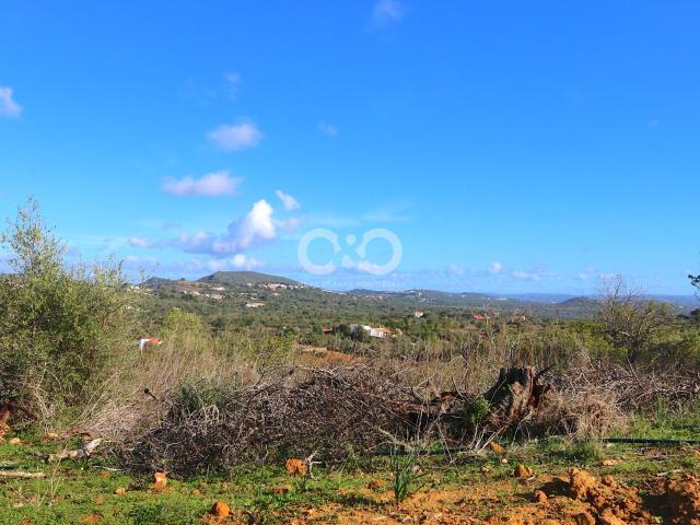 Construir que sua própria casa Ideal de luxo parcelas com planejamento de estrutura de tópicos
