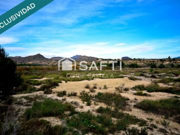 Raspeig, Alicante, Comunidad Valenciana, Comunidad Valenciana