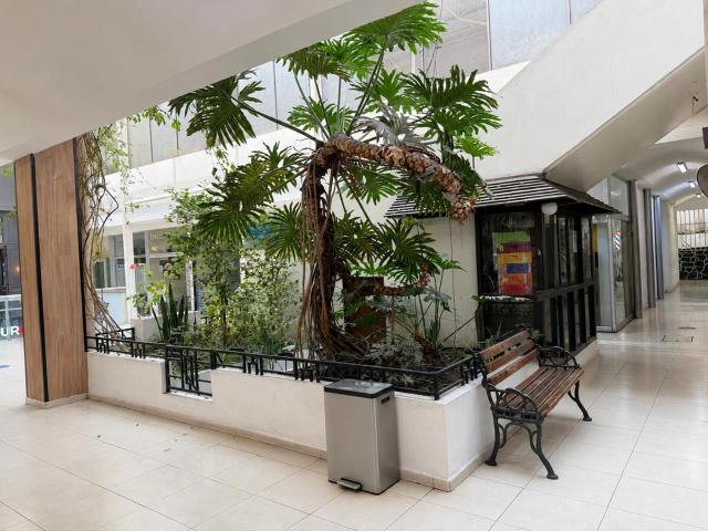 CONSULTORIO EN RENTA EN PLAZA TECAMACHALCO