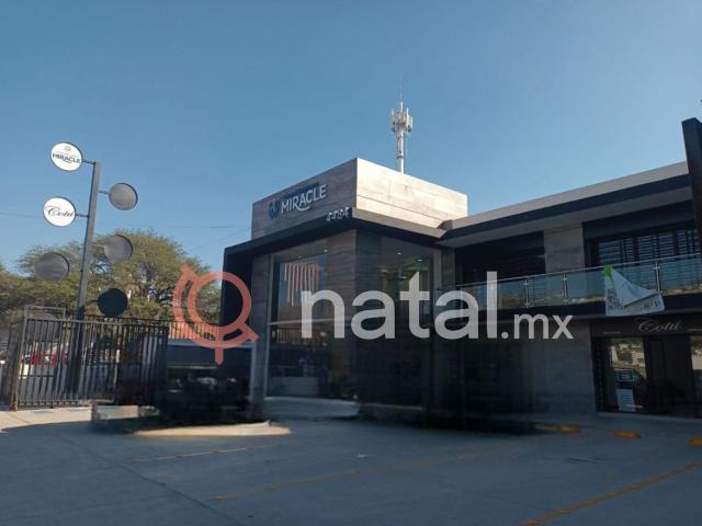 CONSULTORIO PUNTA DEL ESTE LEON RENTA