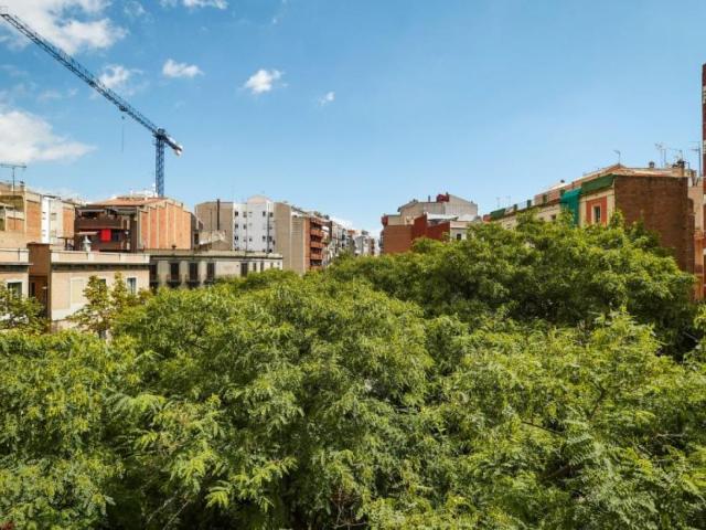 Cool double bedroom in a 5 bedroom apartment near El Clot Aragó train station