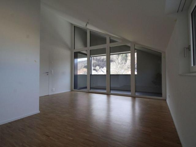 cool 2.5 room attic apartment