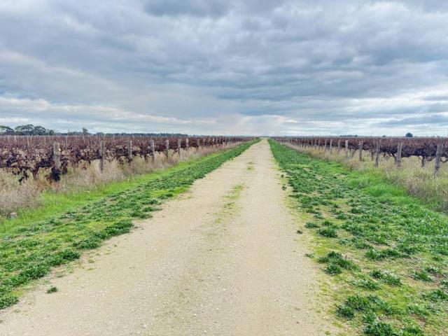 Land Coonawarra SA 102705706