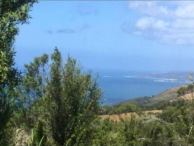 Coastal Acreage with Breathtaking Southern Ocean Views