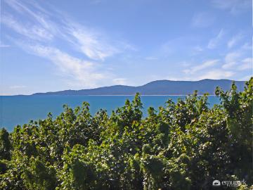Coastal Living with Stunning Sea Views Tanby Point Estate!
