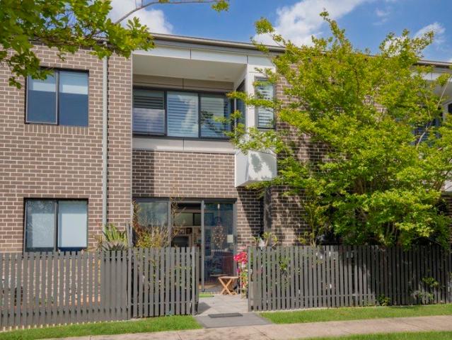 Coastal Living Beside the Fernleigh Track