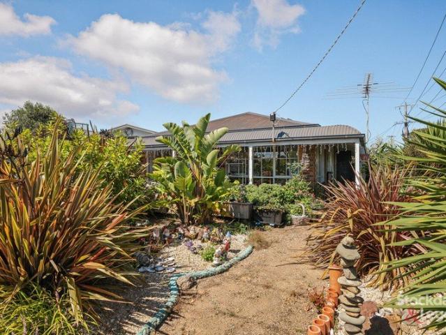 Coastal Living Moments from the Foreshore