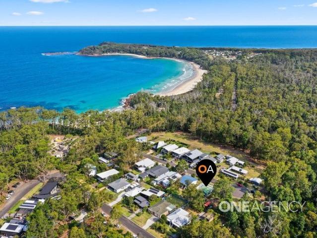 COASTAL SANCTUARY ON EXPANSIVE LEVEL GROUNDS