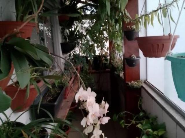 Cobertura com 3 quartos à venda em Belo Horizonte, no bairro Sagrada Família