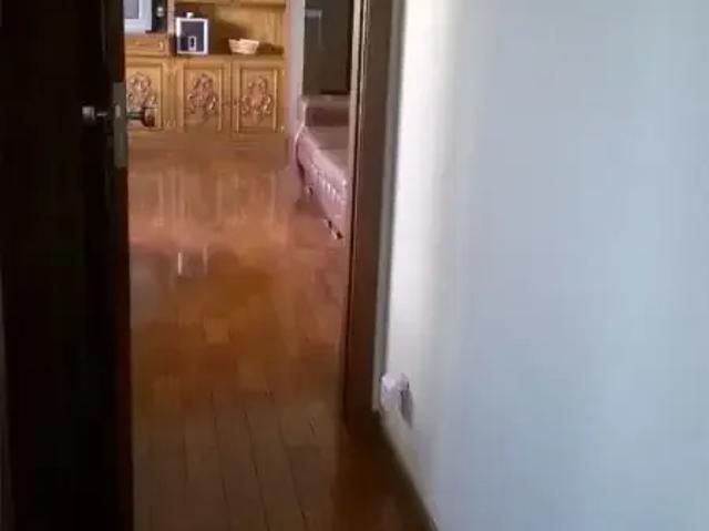 Cobertura para Venda em Belo Horizonte/MG Funcionários 5 Quartos