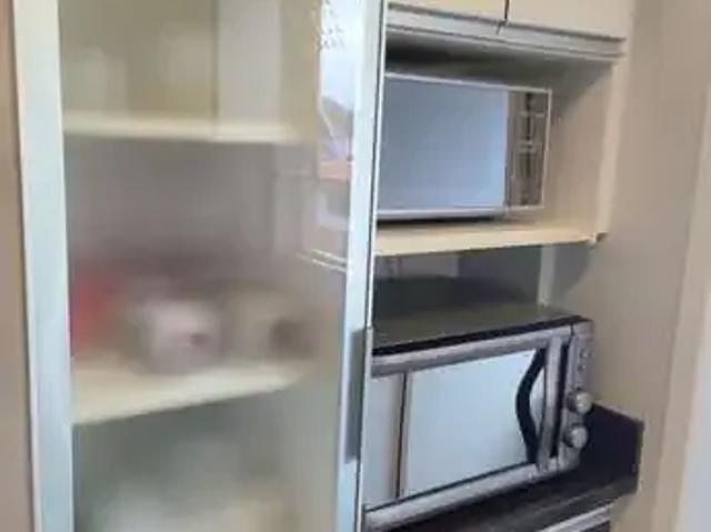 Cobertura para Venda em Jaraguá do Sul/SC Ilha da Figueira 3 Quartos