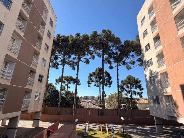 Cobertura para Venda em Pinhais/PR Jardim Cláudia 3 Quartos