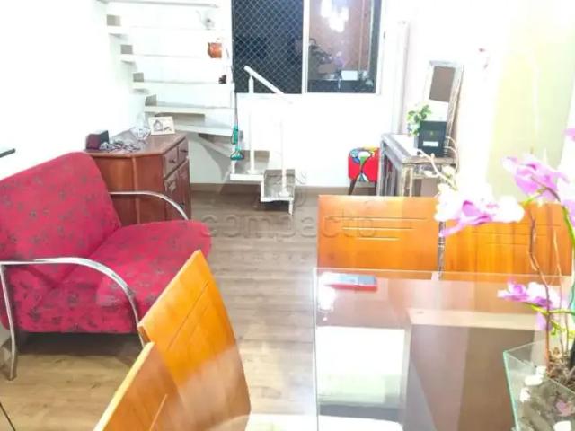 Cobertura para Venda em São José do Rio Preto/SP Higienópolis 3 Quartos