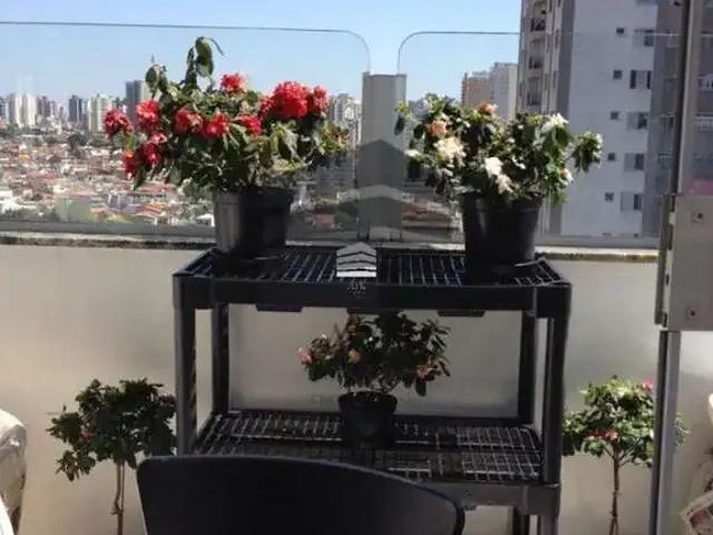 Cobertura para Venda em São Paulo/SP Saúde 3 Quartos
