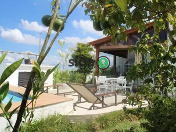 Cobertura para Locação em São Paulo/SP Vila Monte Alegre 4 Quartos