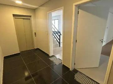 Cobertura para Locação em Santo André/SP Vila Valparaíso 2 Quartos