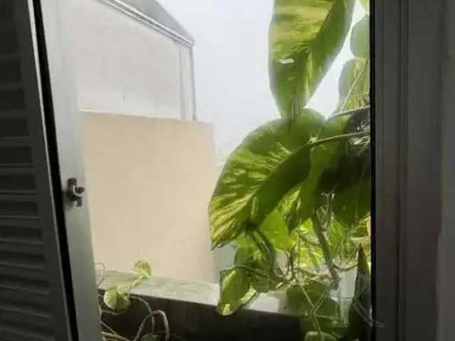 Cobertura para Locação em Santos/SP Vila Mathias 3 Quartos