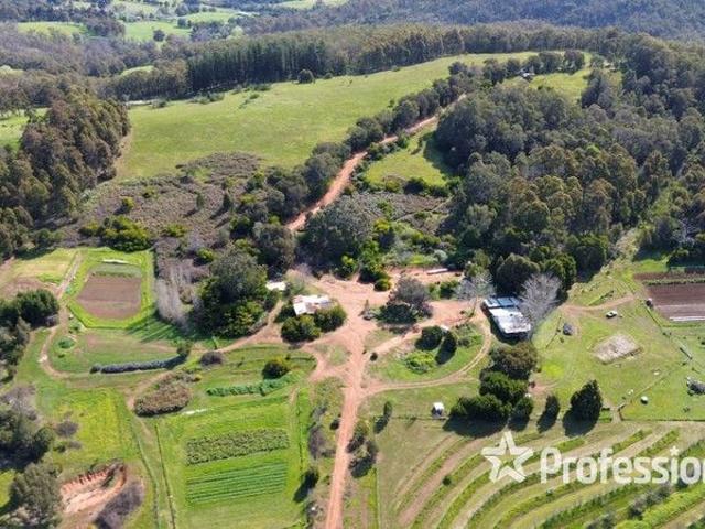 Cockatoo Ridge Organic Farm, Upper Balingup