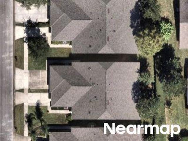 Coconut Palm Cir