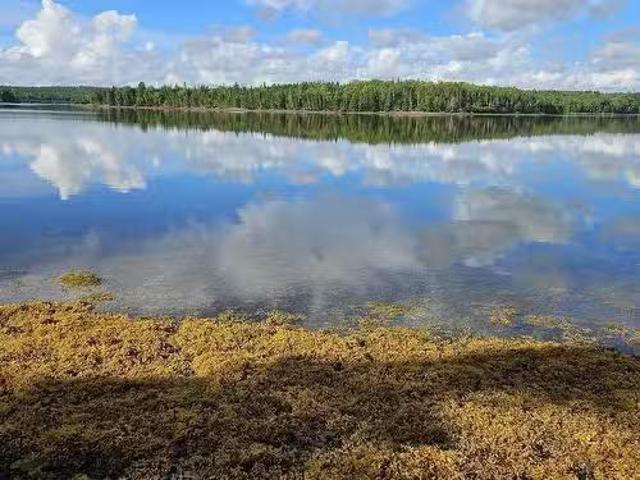Cogswell Road, Evanston, NS, B0E 1J0 vacant land for sale L.