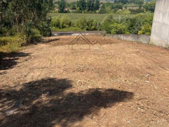 Coimbra Montemor 3140 105581202