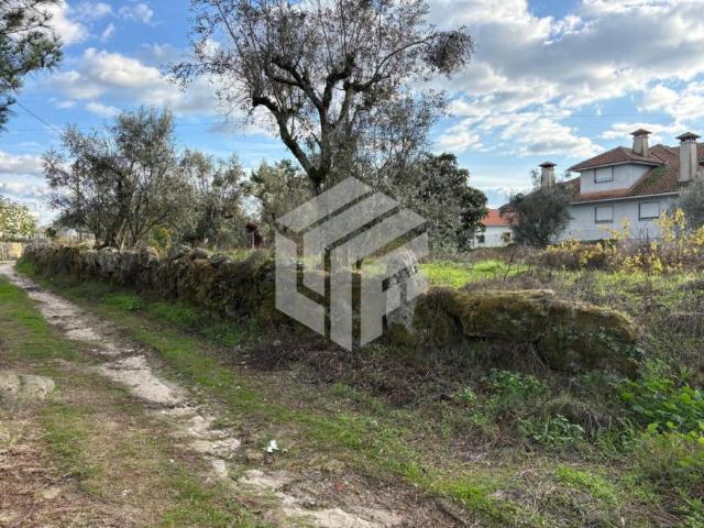 Coimbra Oliveira do Hospital 3405 100758824