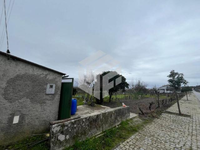 Coimbra Oliveira do Hospital 3405 99675477
