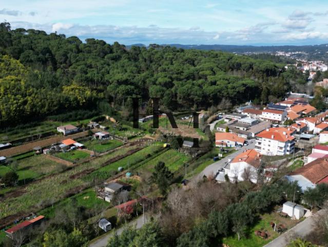 Coimbra Arganil 3300 104106719