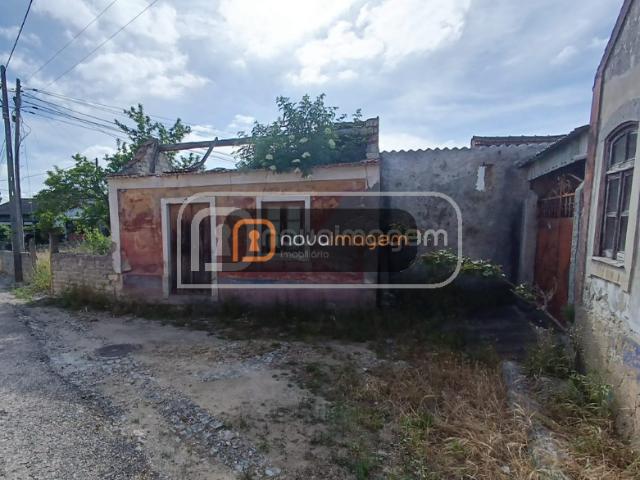 Coimbra Cantanhede 3060 102714723