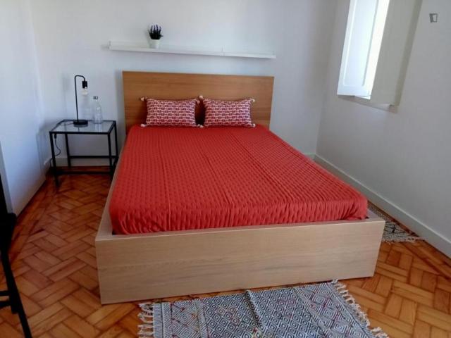 Coimbra Coimbra 104954423