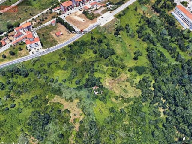 Coimbra Coimbra 104990316