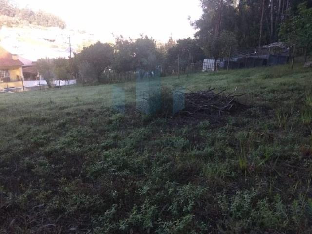 Coimbra Coimbra 105069139