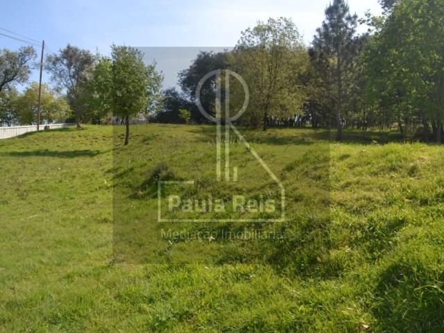 Coimbra Coimbra 105433524