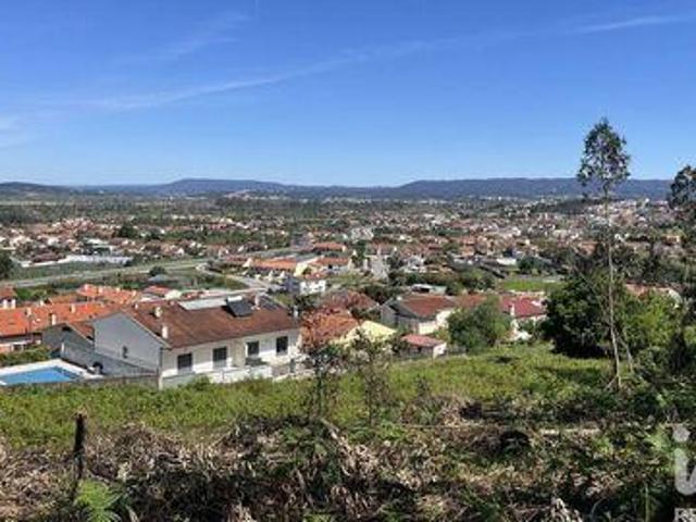 Coimbra Coimbra 101027861