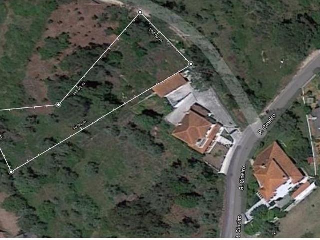 Coimbra Coimbra 3040 590 100785664