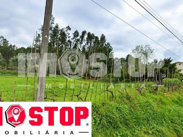 Coimbra Coimbra 3040 105525585