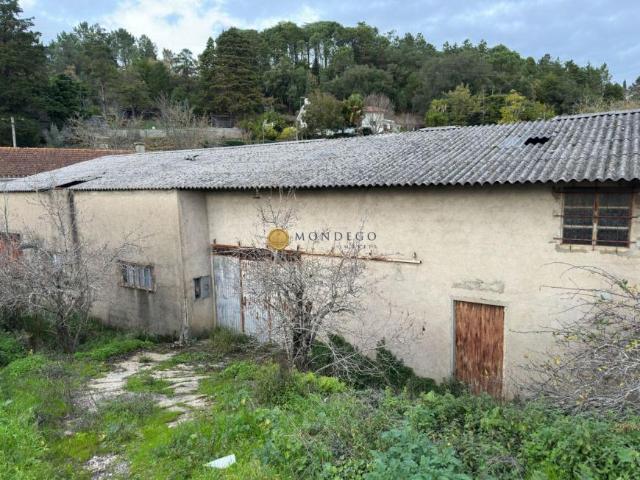 Coimbra Coimbra 3040 105859692
