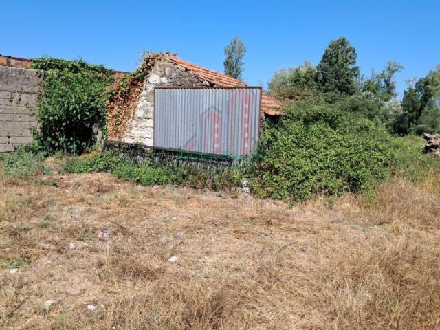 Coimbra Coimbra 3025 100250255