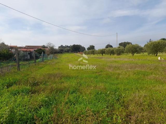 Coimbra Soure 3130 96841605