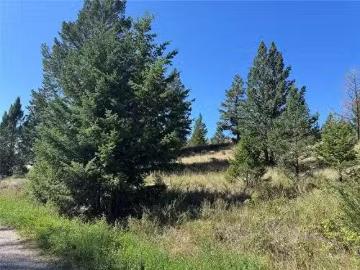 Columbia Estates Road, Fairmont Hot Springs, BC, V0B 1L2 vac.