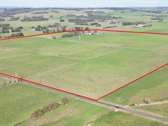 COLAC DISTRICT HOLDING