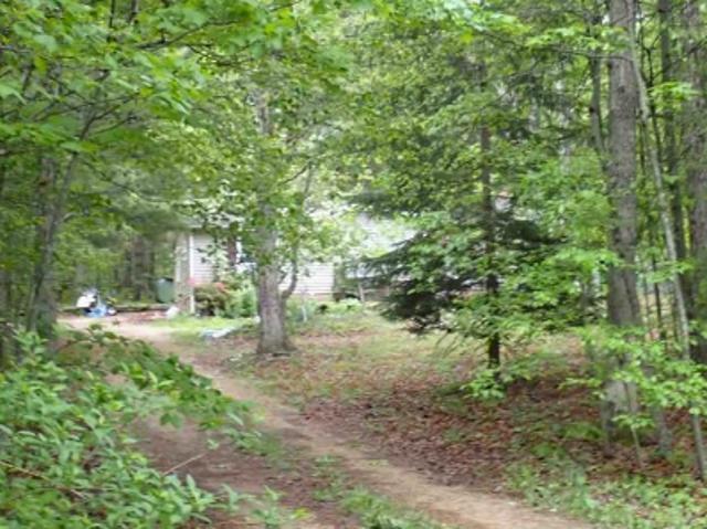 Cold Springs Rd