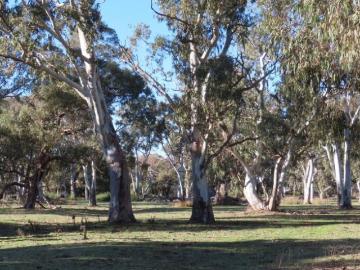 Land to rent in South Australia