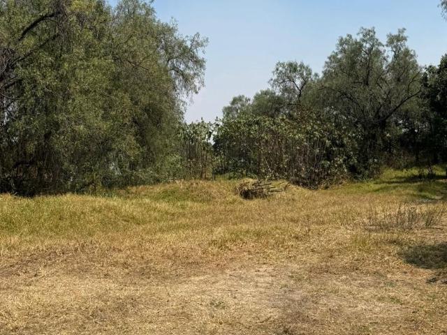 Colinas del bosque, terreno para desarrollo